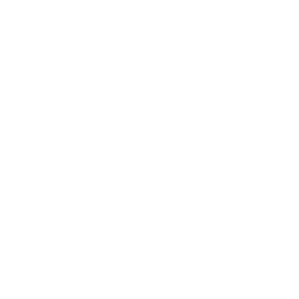 Biladi